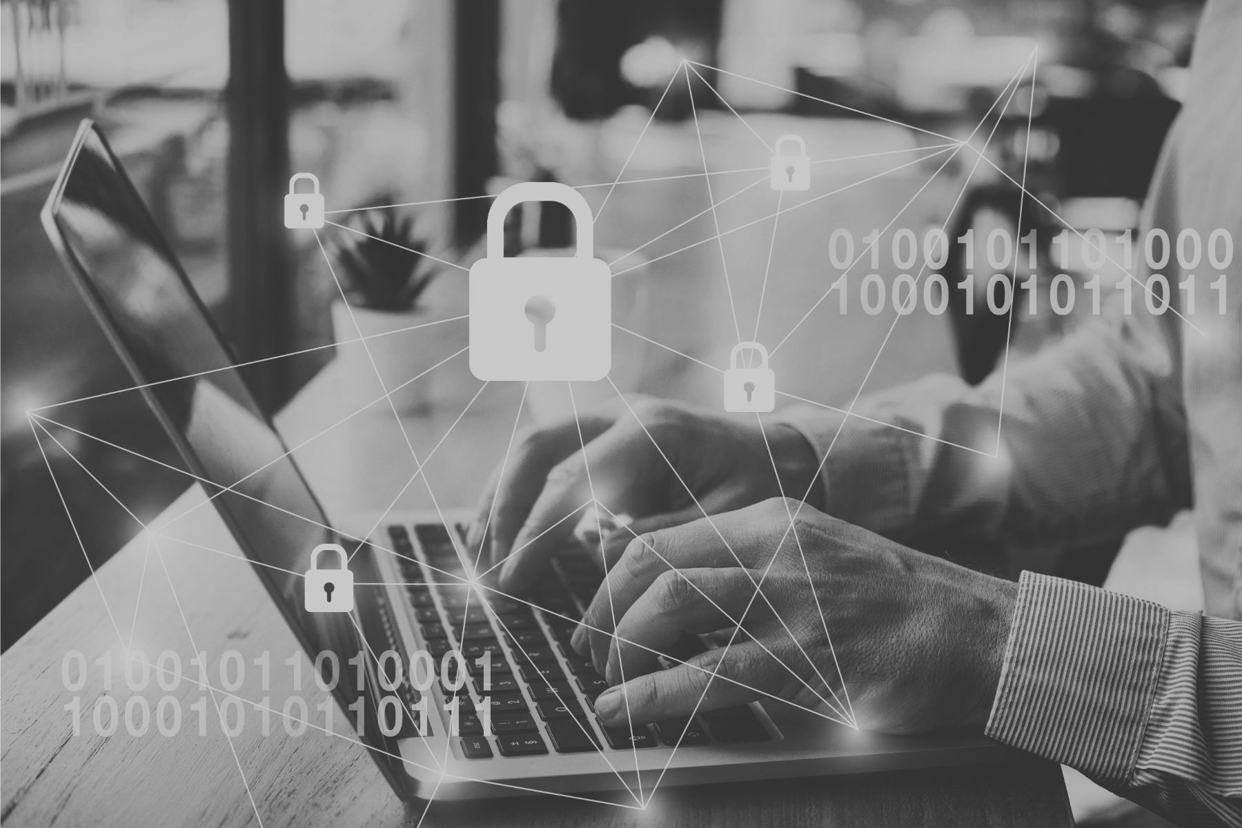 Internet Security: A Sad Search Fund Story