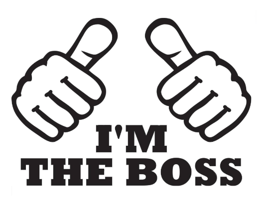 Seven Surprises for New CEOs